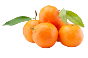fresh_tangerines_oranges_fruit_with_leaves_isolate_6ma5qks_de